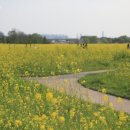 산동교 친수공원 축구장 이미지