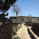 [담양여행]담양창평 삼지천마을,슬로시티 삼지네마을 돌담길 이미지