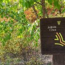 찬물내기 이미지