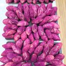 철원고구마 이미지