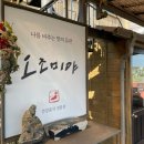 제주도 | 취다선 조식 성산 오조미야 후기