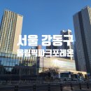 강동구 탄성코트 올림픽파크포레온(둔촌주공) 입주시공
