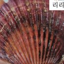 여우펜션 이미지