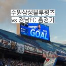 홈키퍼즈 | #250920 수원삼성 홈경기 :: 수원삼성블루윙즈 vs 경남FC | 수원월드컵경기장 W2석