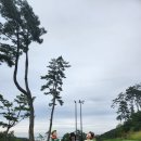 연화곰장어집 이미지