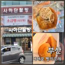 부산 사하구 빵집 사하단팥빵 | 다대포해수욕장 빵지순례 소금빵 단팥빵 내돈내산 후기