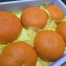 태현농장 이미지