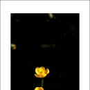 갈바람 - 미추홀구 | 갈바람
