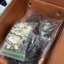 믿음농장 | 농라 곡성믿음농장 후기