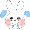 샐로브레 네이버블로그