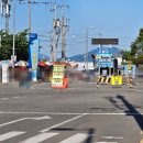 오동도 | ★동백섬, 동백꽃, 용굴로 유명한 여수 오동도 방문 후기 및 동백 열차★