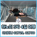 729 | 하노이 아시아나 OZ729 OZ730 기내식 좌석 후기