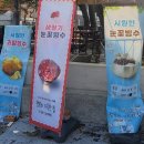 [목포] 감성카페 행복이 가득한 집 정원 있는 힐링 카페 후기