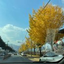 거창컨벤션웨딩뷔페 이미지