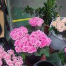 대가야꽃집 이미지