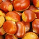 유원2차 이미지