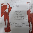 한마음정안한의원 이미지