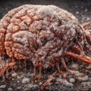 아낌없이주는나무한의원 이미지