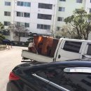 사파동209 이미지