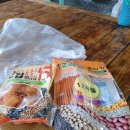 9회말쉼터