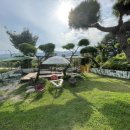 펫밀리펜션 이미지