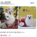 더이쁘개 | The이쁘개 더 이쁘개 다녀왔어요!