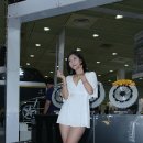 스톨츠 이미지