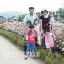 육남매 이미지