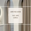 살롱드비숑송정점