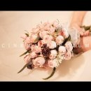 더그레이스2 이미지