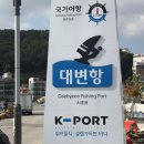 기장 가볼만한곳 기장시장 대변항 (생활의달인 맛집 김가네 후기)