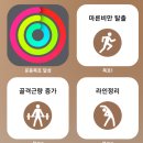 바디피플 | 부평헬스 휘트니스피플 부평점 바디프로필 찍고 리얼 PT후기!