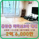 미라보공인중개사사무소 이미지