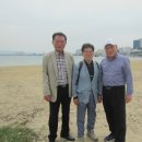돌고래회식당 - 포항시 북구 해안로 213 | 돌고래회식당