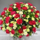 둔산중로-51 이미지