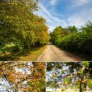 서울대학교 농업생명과학대학 실험목장 | 경기도 혼자 여행 수원 가볼만한곳 탑동시민농장 댑싸리 외