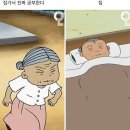 피크닉스시