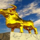 금송아지 이미지