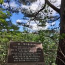 구봉대산, 영월 (대중교통) 100+명산 제35좌 이미지