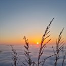 명진에코(주) 네이버블로그