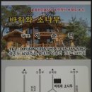바위와소나무 네이버블로그