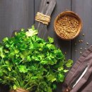 영광슈즈 이미지