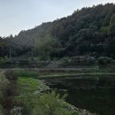 장곡2 Daum카페
