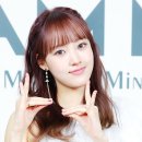 세이세이