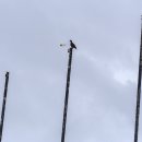 아화역 화장실 이미지