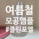 클린포엘 포어낫 앰플 3주후기, 여름 모공 잇템