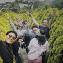 제주동제여행사(주) | 제주미니버스투어로 더욱 특별했던 시간