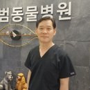 지동범 동물 안과 치과병원 이미지
