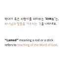 제일메드 이미지