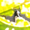 가조힐링랜드 이미지